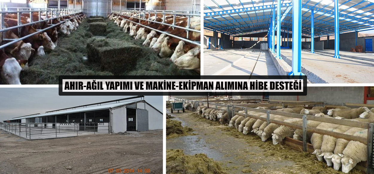 Eskişehir'de Ahır ve Ağıl Yatırımlarına %50 Hibe Desteği Başvuruları Başladı