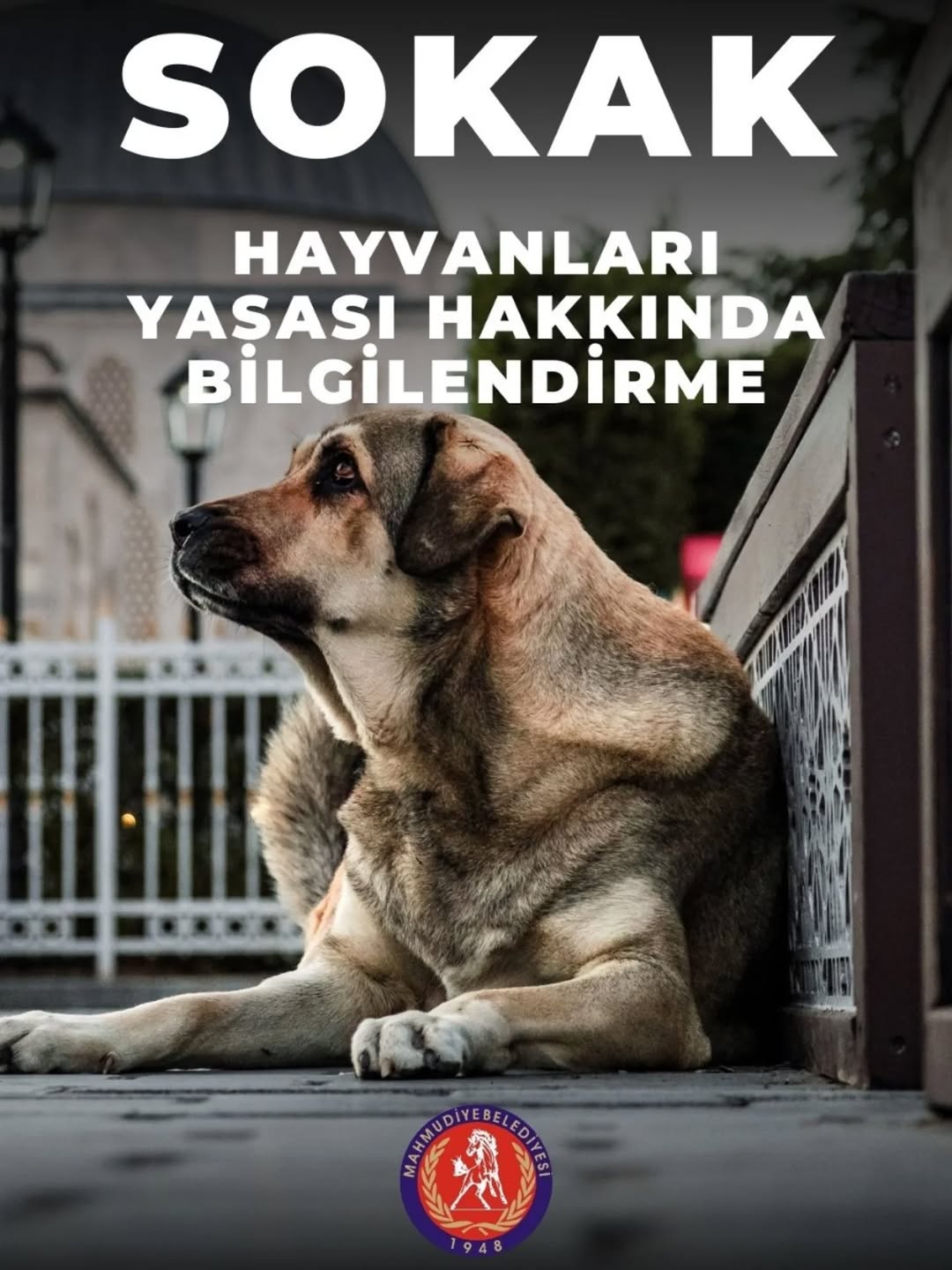 Yeni Hayvan Koruma Yasası Hakkında Bilgilendirme