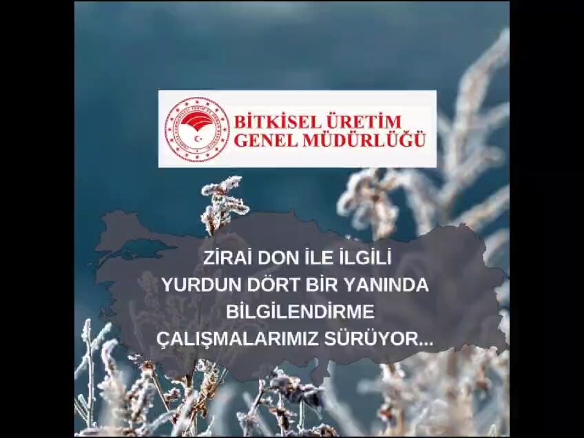 Afyonkarahisar'da Zirai Don Sonrası Tarım ve Orman Müdürlüğü'nden Üreticilere Destek