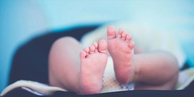 Doğum Yapanlara Kredi Borcu Silinmesi İçin Çalışma Başladı