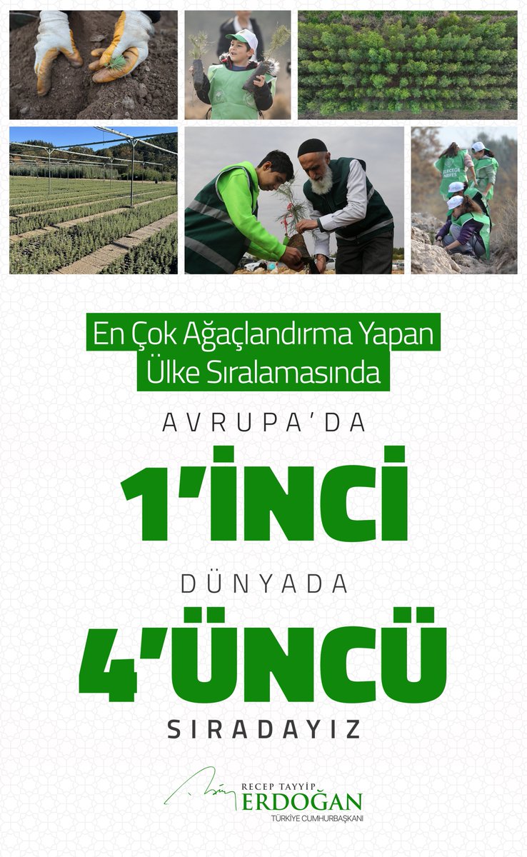 Türkiye, Ağaçlandırma Alanında Avrupa Birinci, Dünyada Dördüncü Oldu