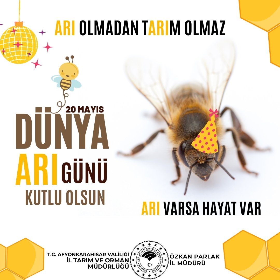 Afyonkarahisar'da Dünya Arı Günü Kutlandı: Arıların Tarımdaki Önemi Vurgulandı