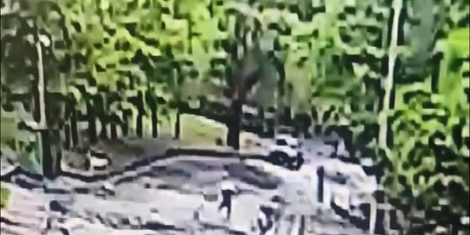 YTÜ Kampüsünde Öğrenci Köpek Saldırısına Uğradı