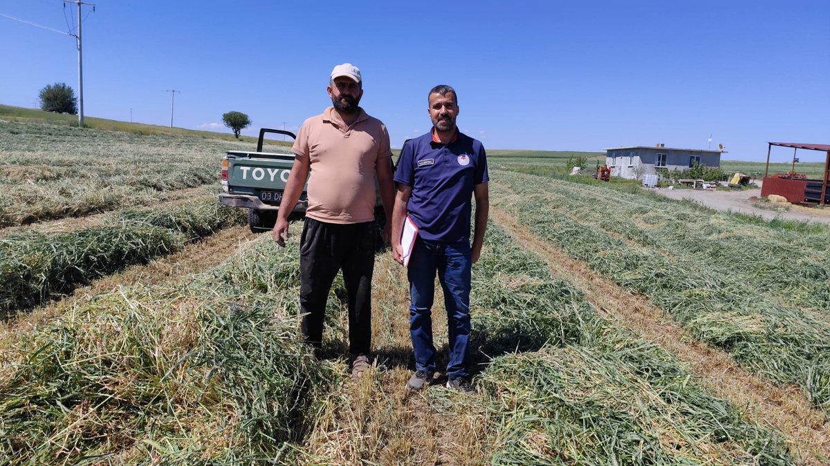 Afyonkarahisar'da Yem Bitkileri Ekiliş Alanlarında Kontroller Devam Ediyor