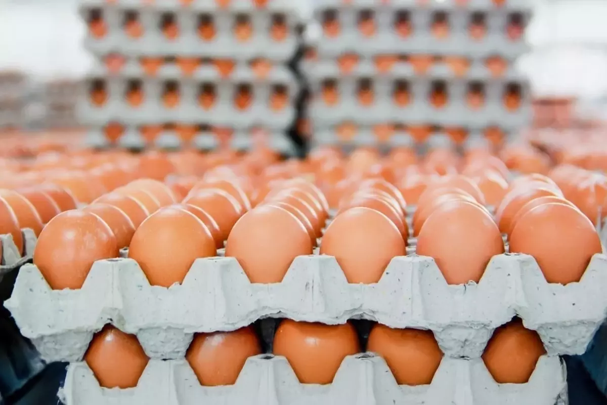 Yumurta Fiyatlarındaki Düşüş Market Raflarına Yansımıyor