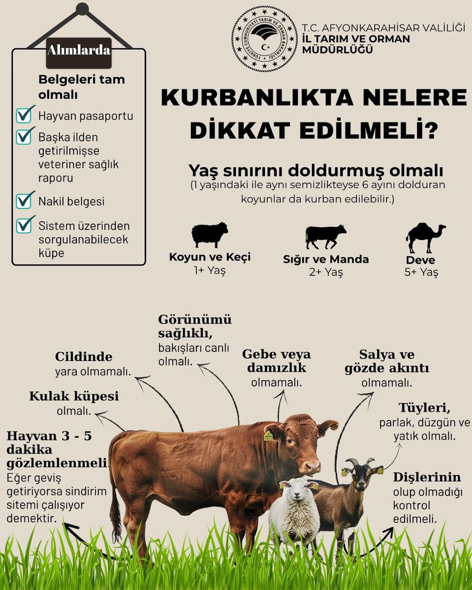 Afyonkarahisar'da Kurbanlık Alımında Dikkat Edilmesi Gerekenler