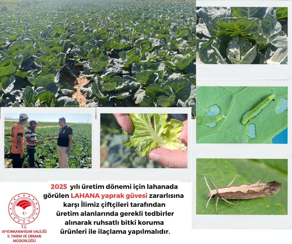 Afyonkarahisar İl Tarım ve Orman Müdürlüğü'nden Çiftçilere Uyarı