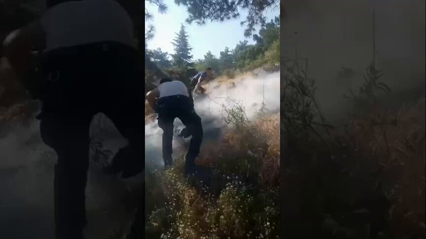 Afyonkarahisar'da Orman Yangını Kontrol Altına Alındı