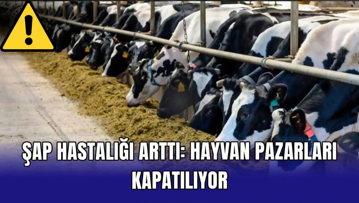 Hayvan İthalatı ve Karantina Çağrıları Artıyor: 158 Pazar Kepenk İndirdi