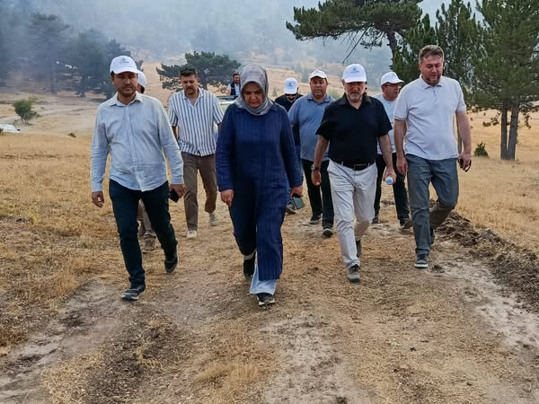 Afyonkarahisar'da Sarıcaova'da Orman Yangını: AK Parti İl Başkanı Şahin Bölgeyi İnceledi