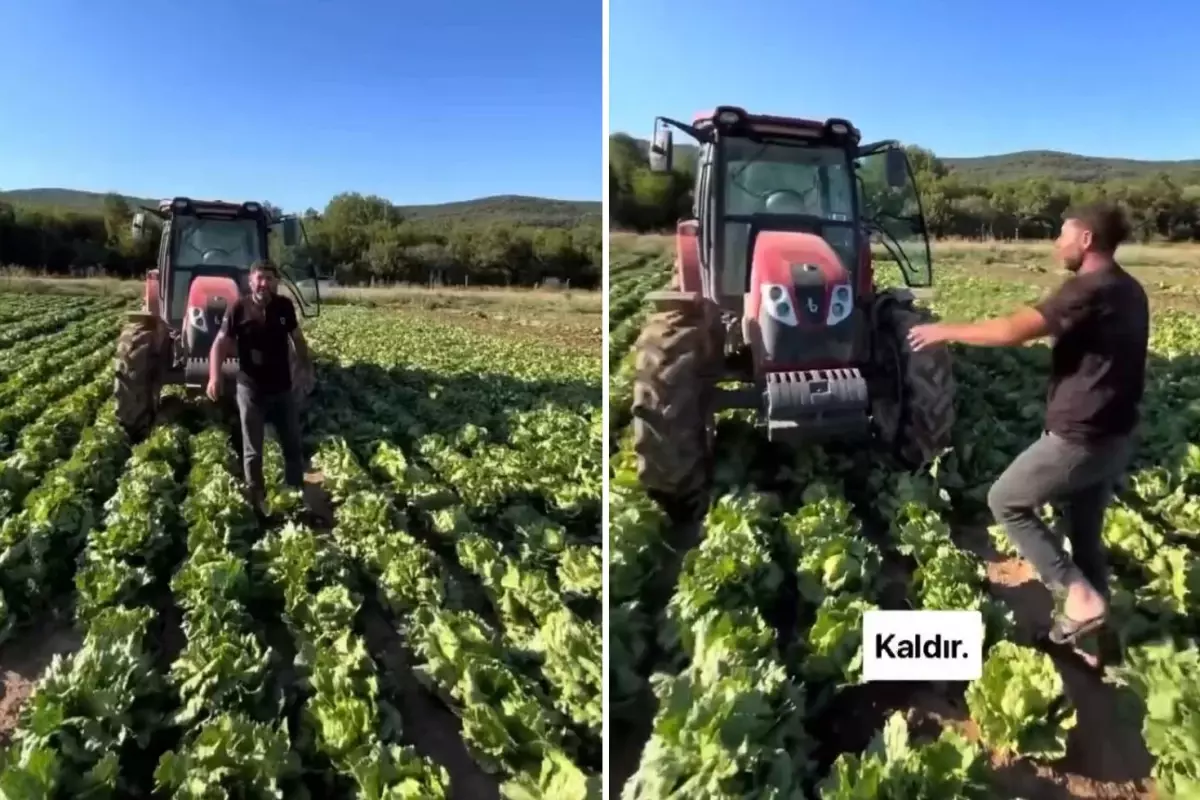 Marul Üreticisinin İsyanı: Market Fiyatları ile Üretici Fiyatları Arasındaki Uçurum