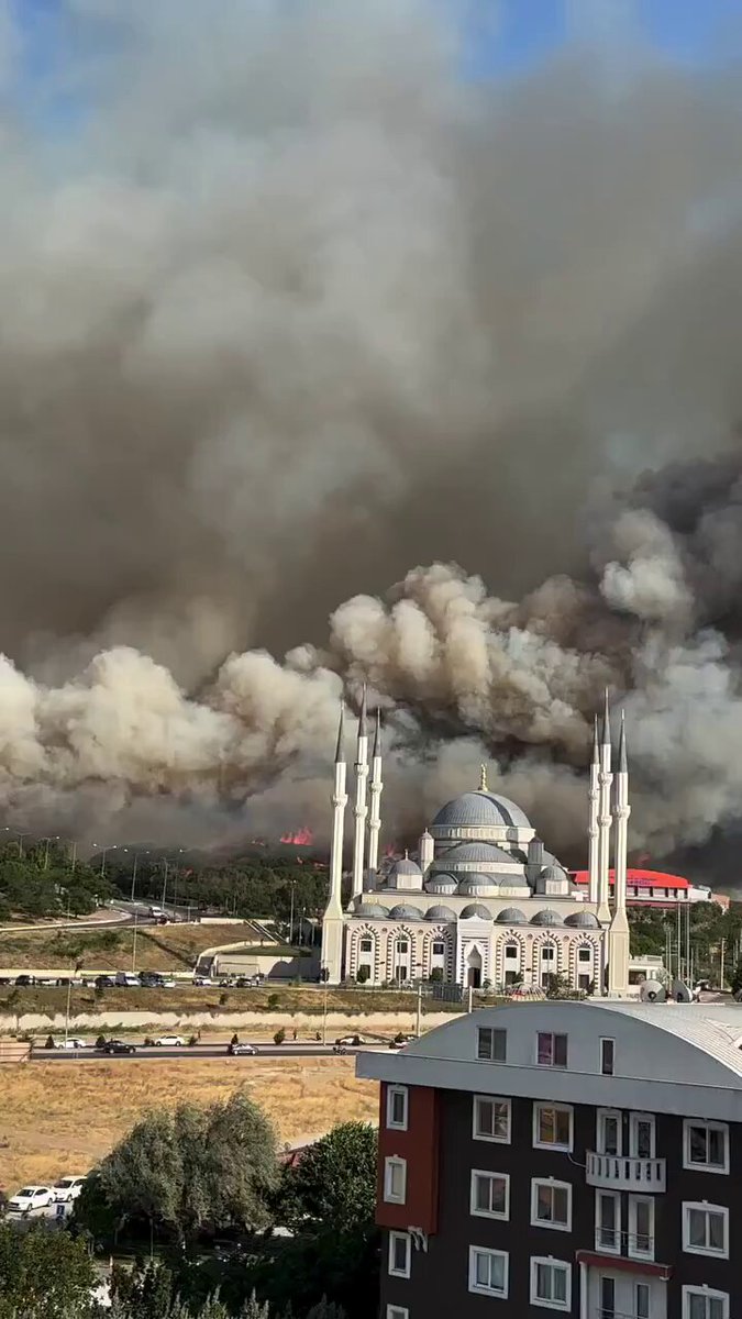 Çanakkale'de Yangın Felaketi: Milletvekili Olgun'dan Geçmiş Tutsun