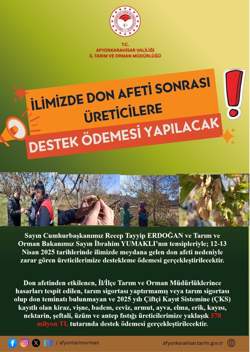 Afyonkarahisar'da Don Afeti Sonrası Üreticilere Destek Ödemesi Başlıyor