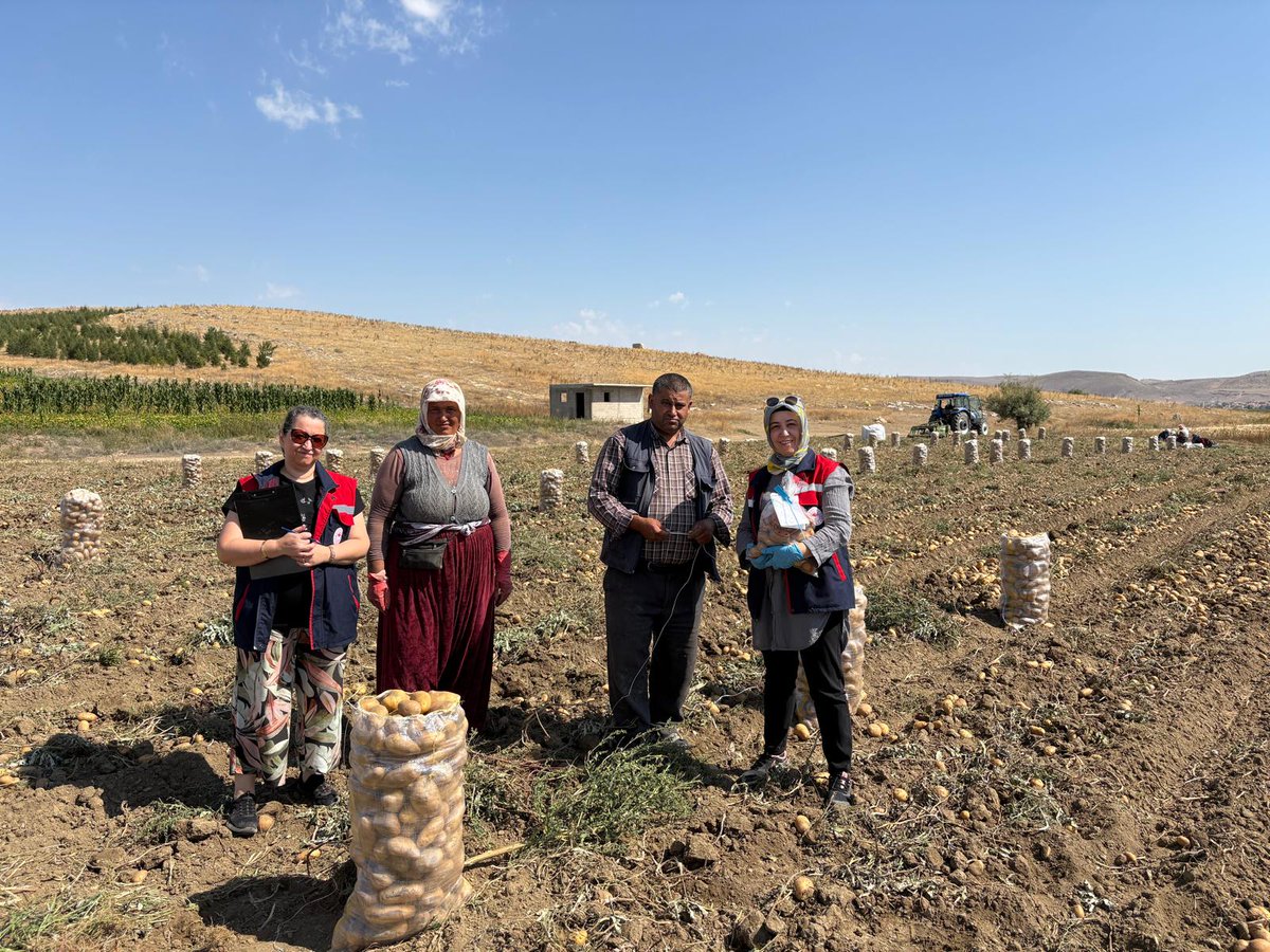 Afyonkarahisar'da Patates Üretim Alanlarında Pestisit Denetimleri Yapıldı