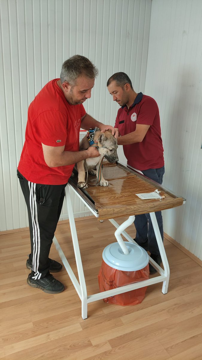 Afyonkarahisar'da Evcil Hayvanlara Mikroçip Zorunluluğu Başladı