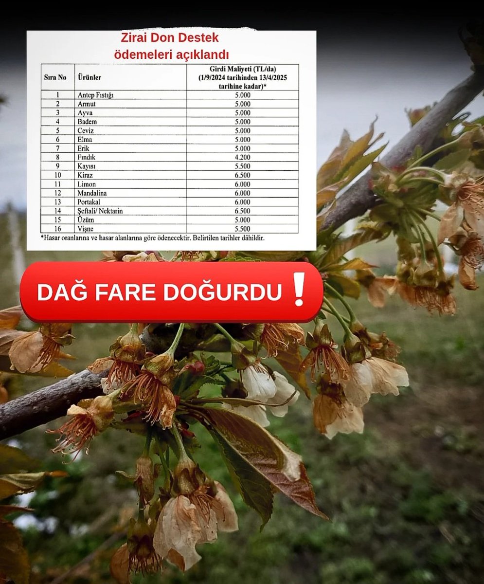 Çiftçilere Zirai Don Desteği Açıklandı: İYİ Parti Destek Miktarının Yetersizliğini Eleştirdi
