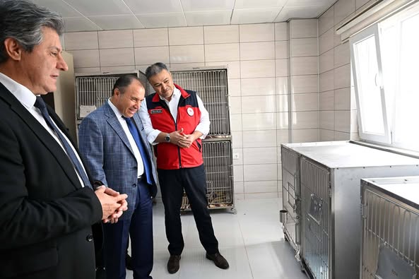 Afyon Kocatepe Üniversitesi AKÜREM'de Tedavisi Tamamlanan Kuşlar Doğaya Salındı