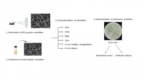 AFSÜ'de Cilt Kanseri Tedavisi İçin Nanoteknolojik Ürün Geliştirildi
